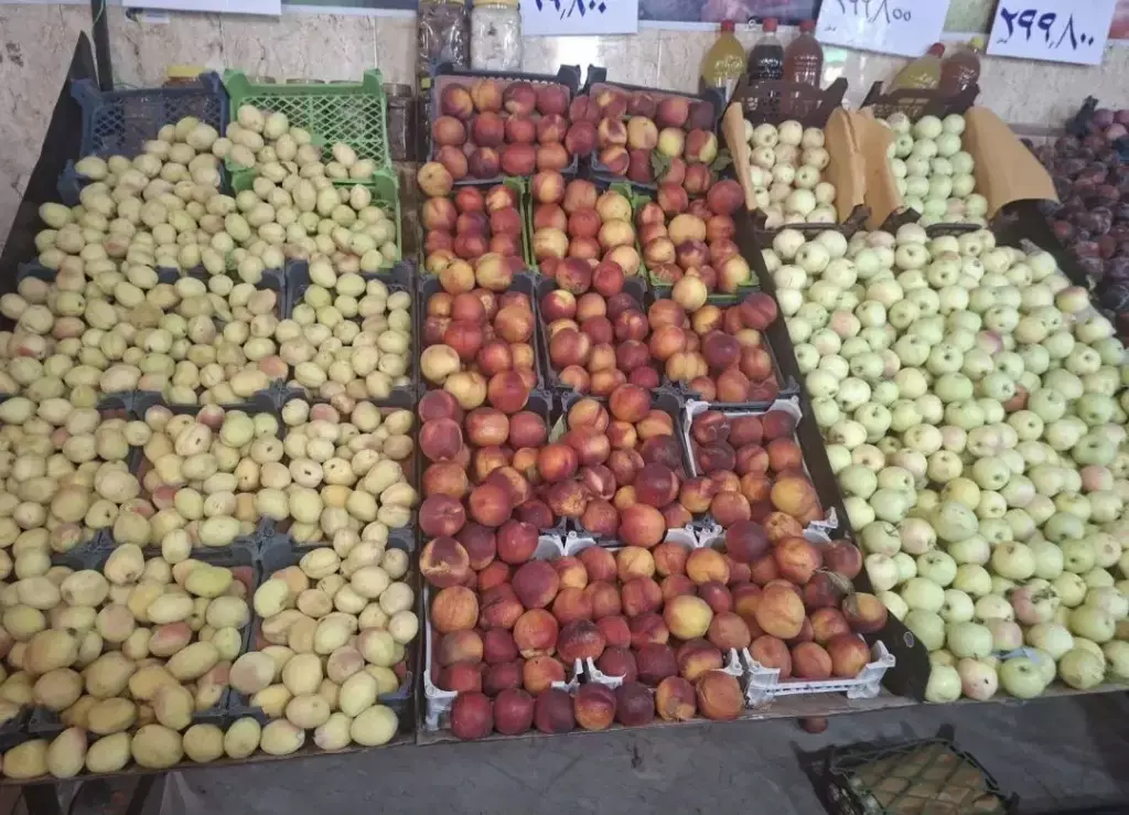 مغازه میوه فروشی  دژاکام خیابان گیلکی - تصویر 4