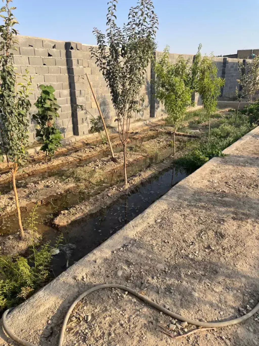 400متر باغچه - تصویر 3