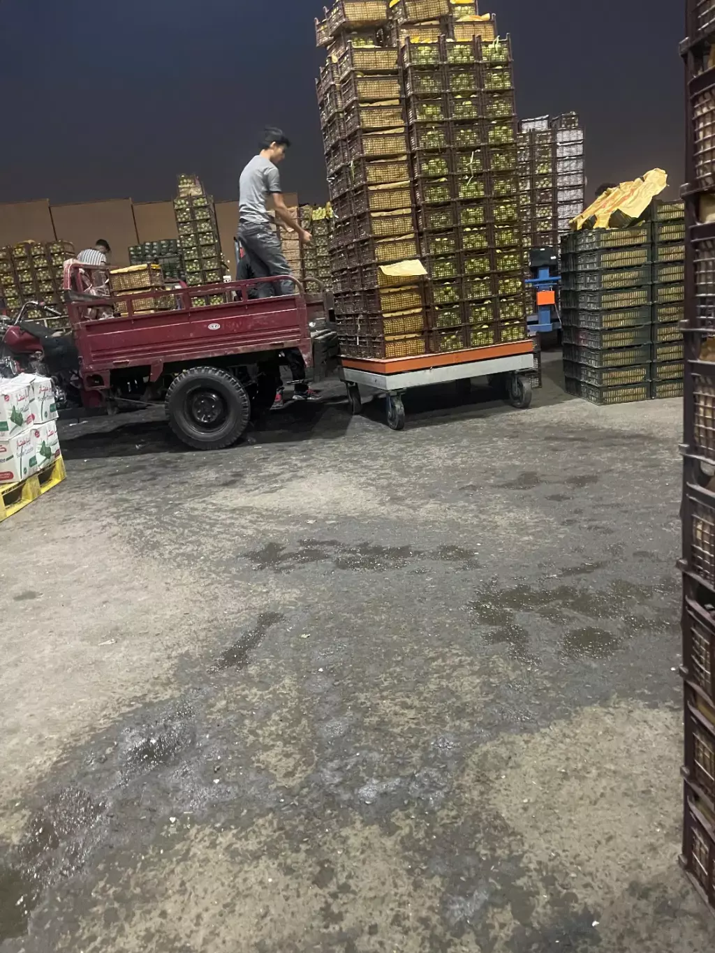 حجره میدان تره بار
