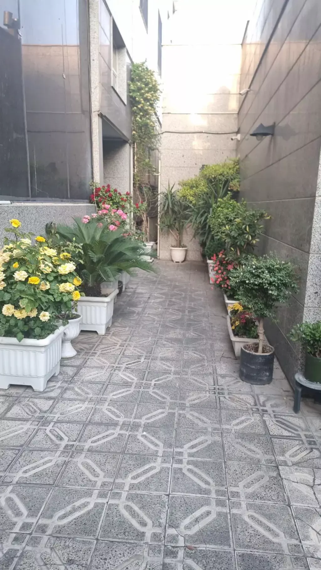 75متر،اداری،هفت حوض، بر خیابان گلبرگ - تصویر 4