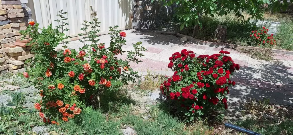 خانه ویلایی اطراف گیلاوند - تصویر 18