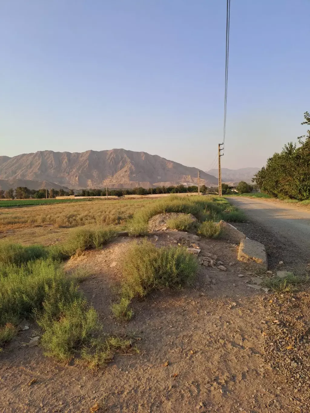 زمین کشاورزی و گلخانه - تصویر 7
