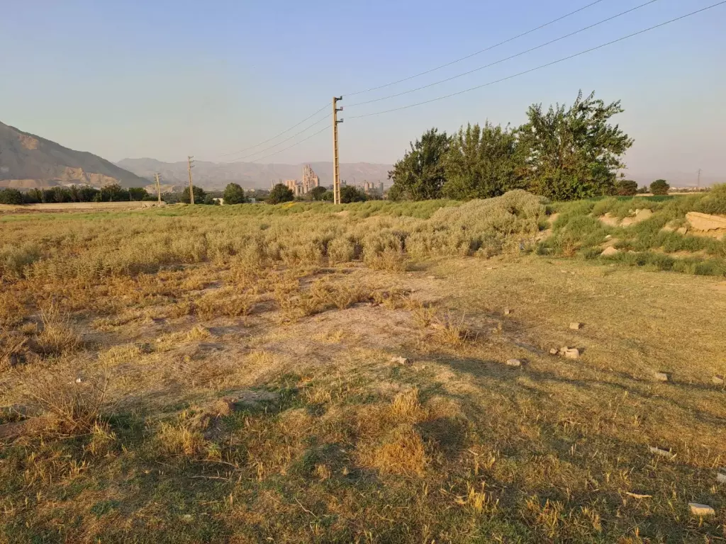 زمین کشاورزی و گلخانه - تصویر 5