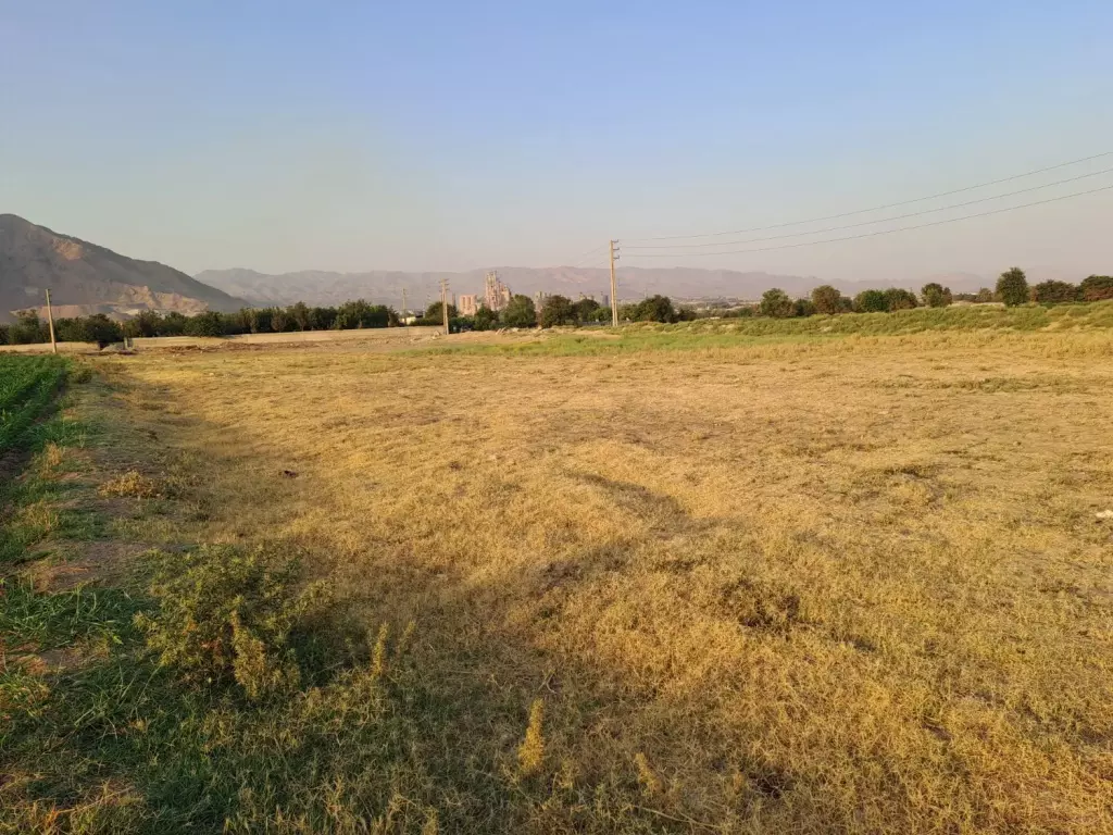زمین کشاورزی و گلخانه - تصویر 8