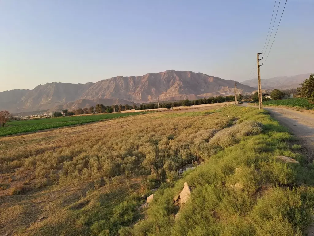 زمین کشاورزی و گلخانه - تصویر 3
