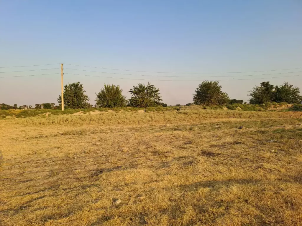 زمین کشاورزی و گلخانه - تصویر 10