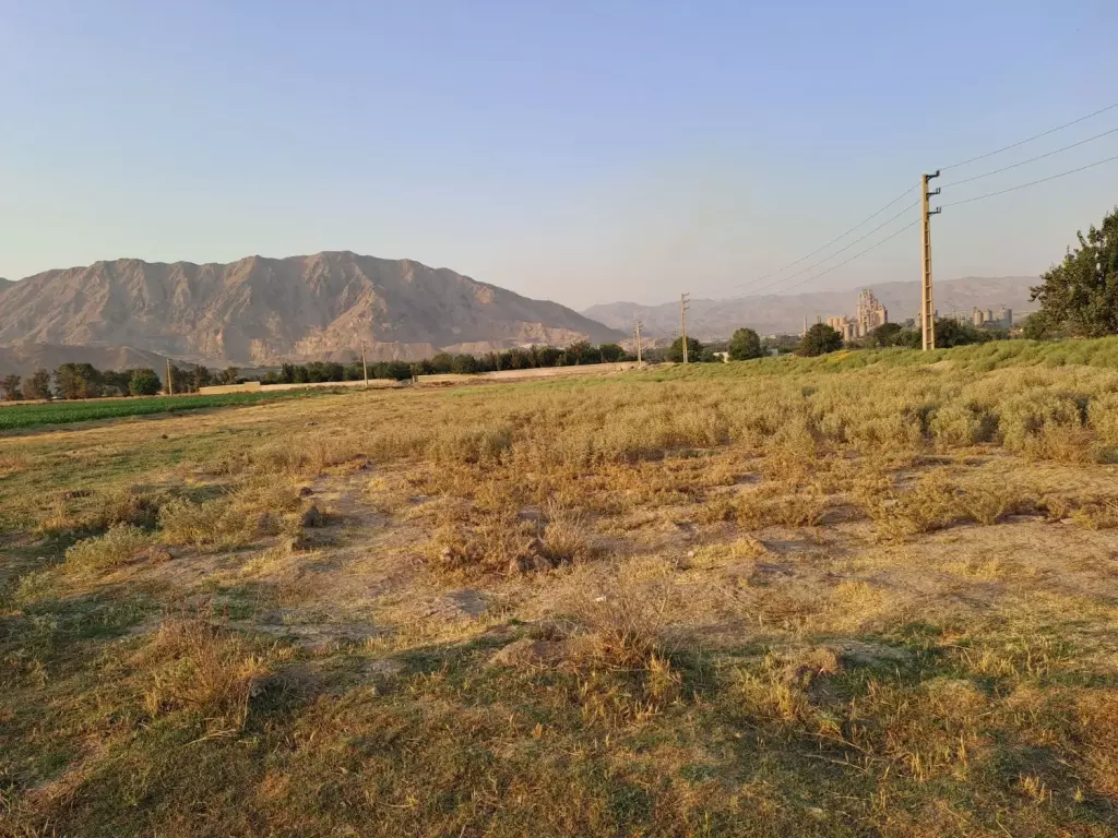 زمین کشاورزی و گلخانه - تصویر 6