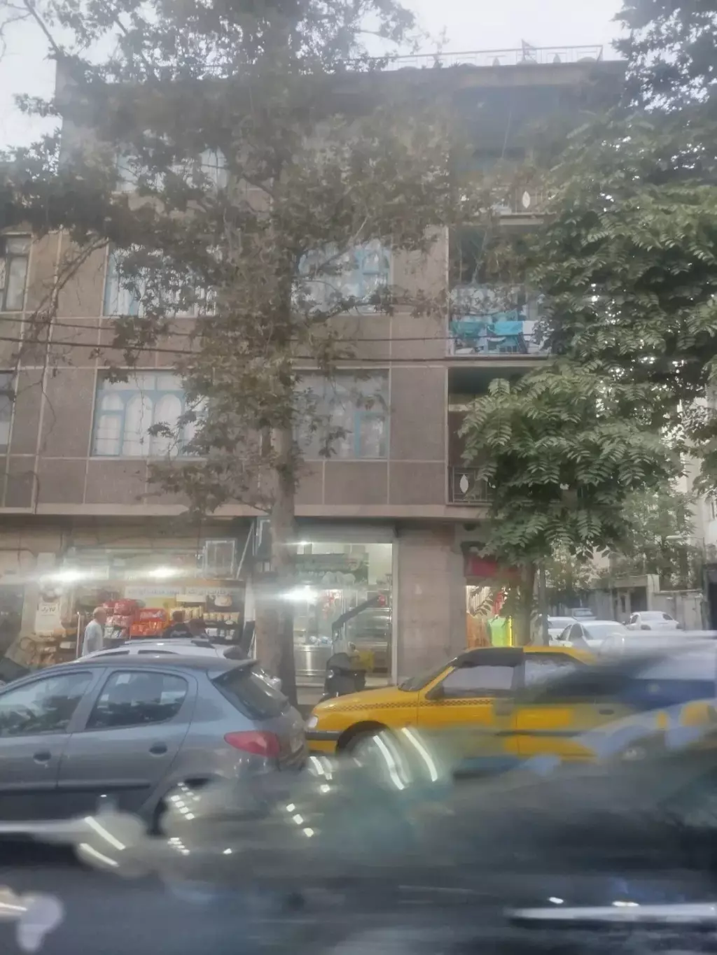 فروش ملک مسکونی و تجاری - تصویر 8