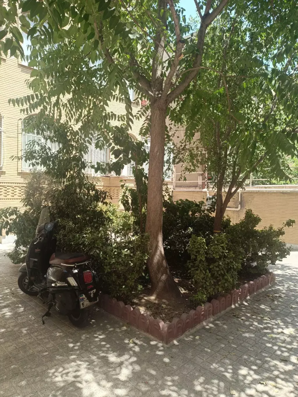 رهن و اجاره - تصویر 12