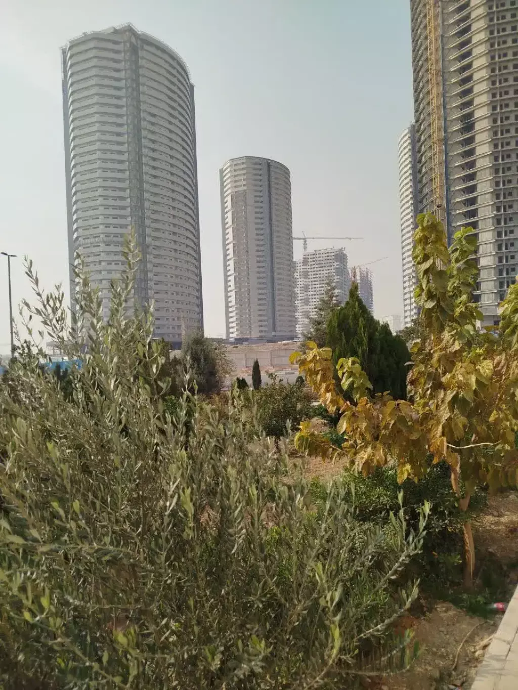 واحد 98متری برای فروش - تصویر 2
