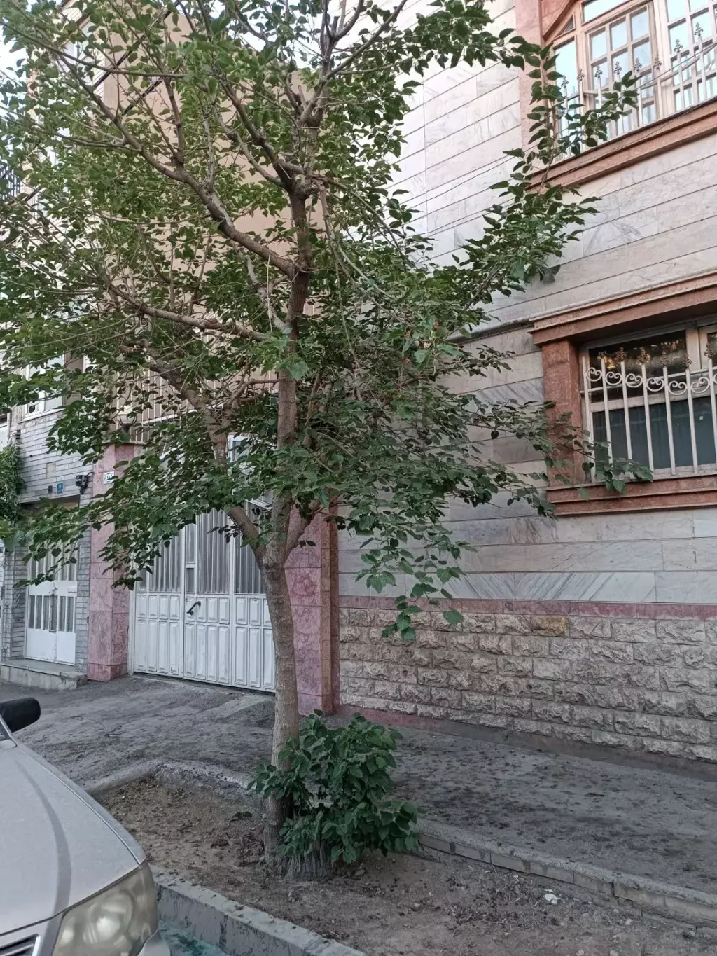 رهن و اجاره منزل مسکونی - تصویر 4