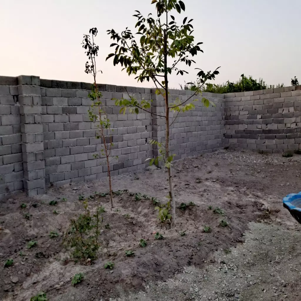 باغ و باغچه 192 متر چهاردیواری با اب و برق - تصویر 5