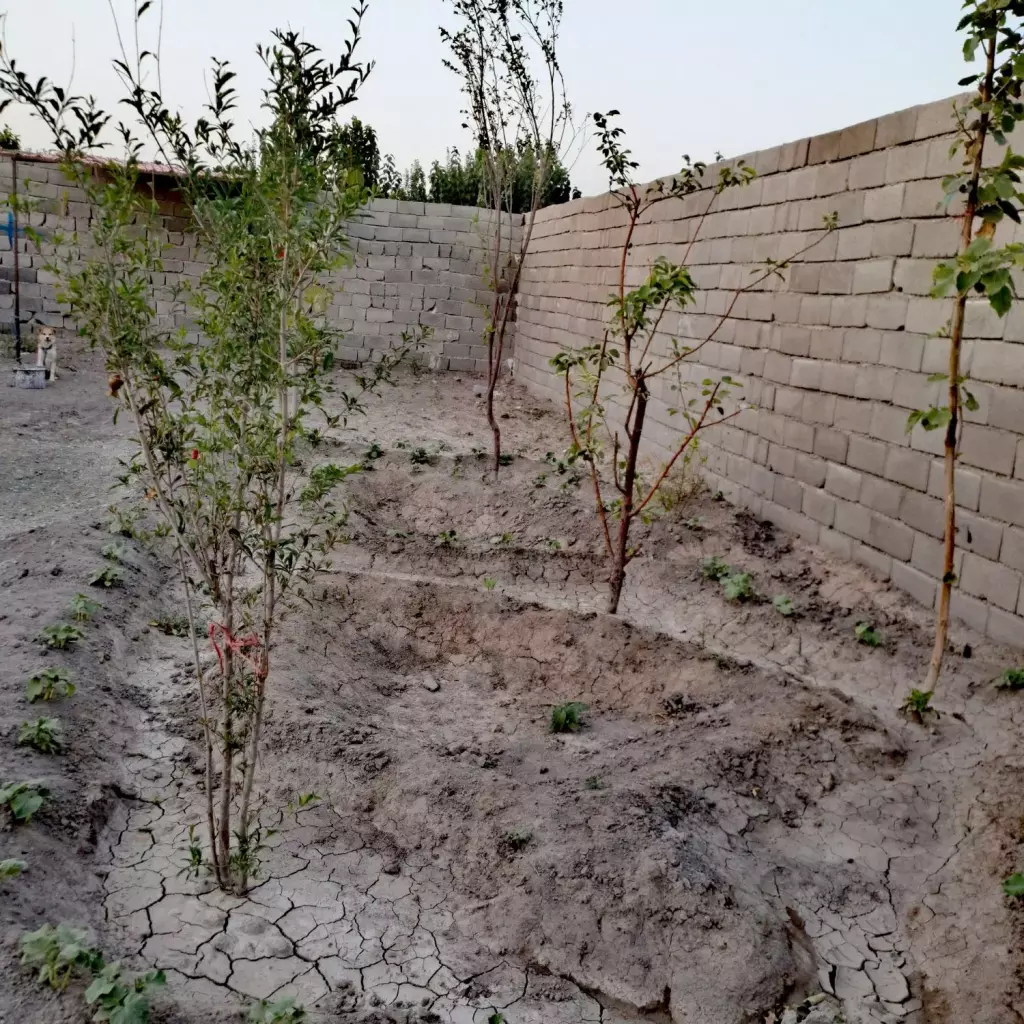 باغ و باغچه 192 متر چهاردیواری با اب و برق - تصویر 2