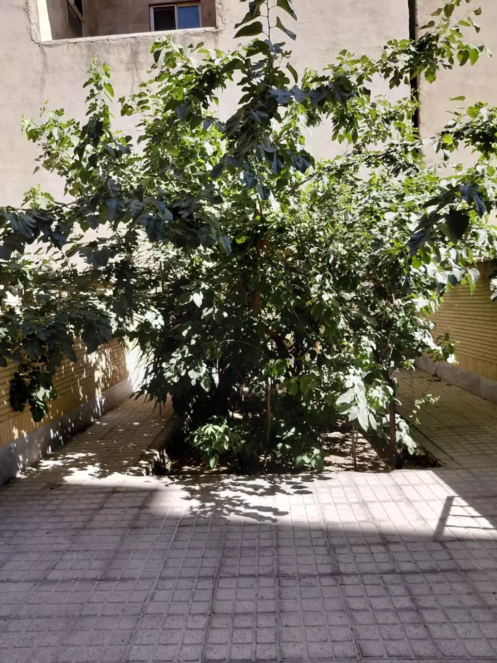 آپارتمان 48 متر نیروی هوایی