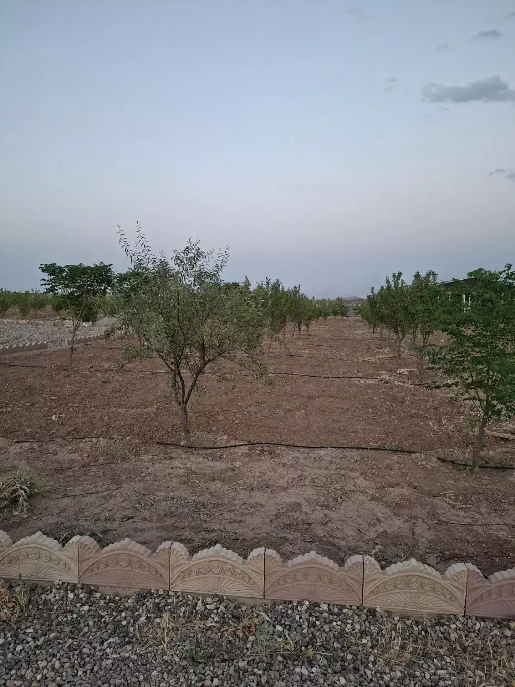 باغ و باغچه و ویلا - تصویر 5