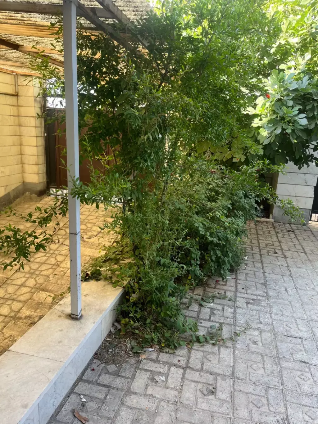 اپارتمان یک جا فروشی چهارطبقه 120 متری - تصویر 4