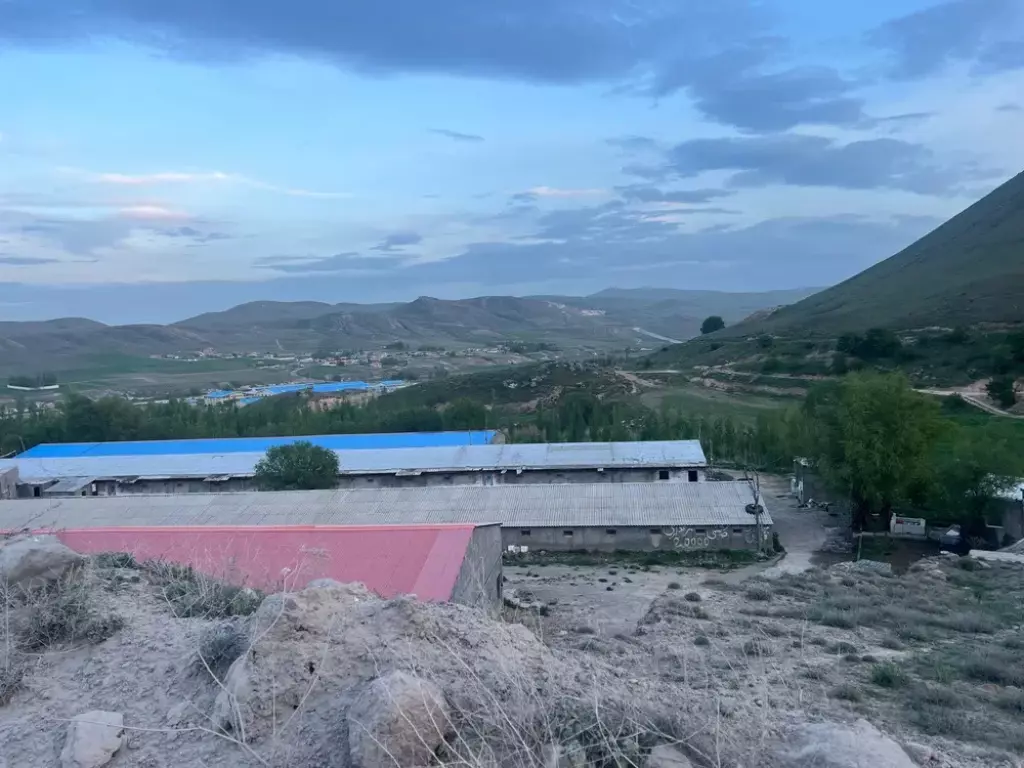مرغداری - تصویر 8