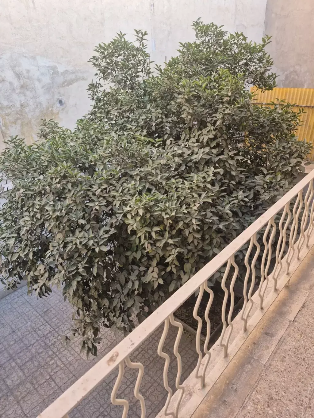 خانه 150 متری در دو طبقه مجزا 90 متری - تصویر 14
