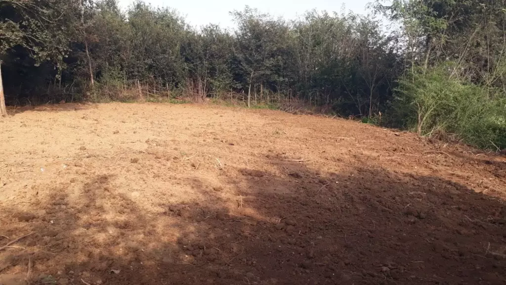 قطعه زمین مسکونی به متراژ 900متر در شمال - تصویر 3
