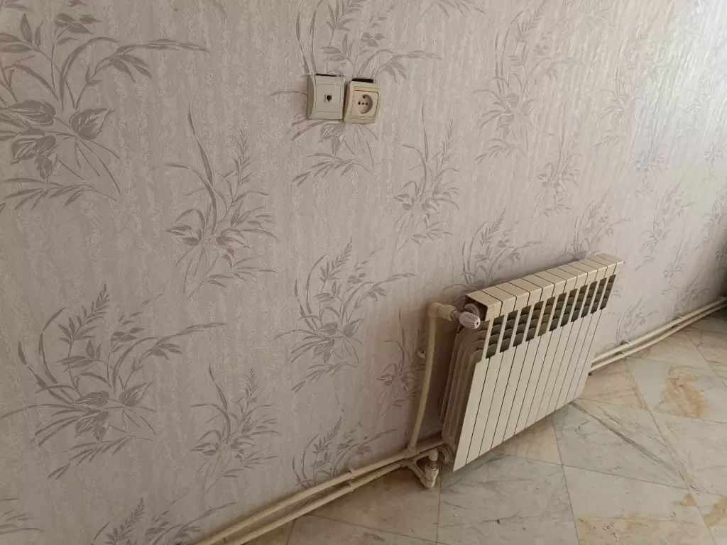 گیلکی جنوبی مینا جنوبی عارف جنوبی خراسان 17شهریور - تصویر 9
