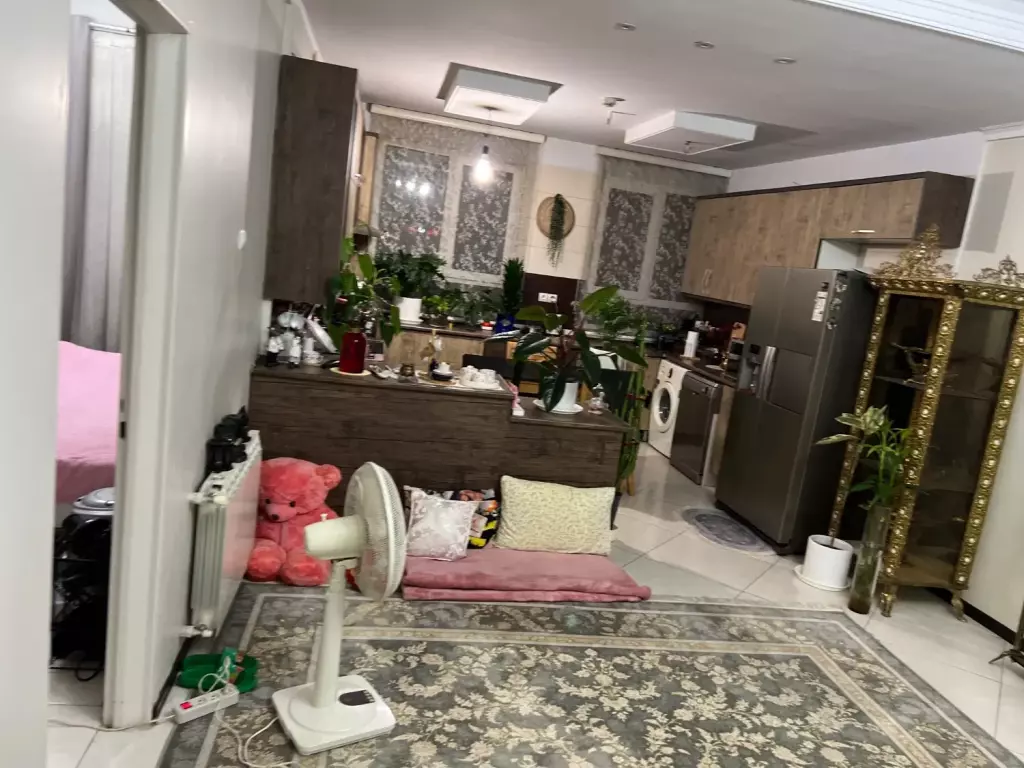 تهران سر.بلوار اصلی.70متر 1خواب - تصویر 4