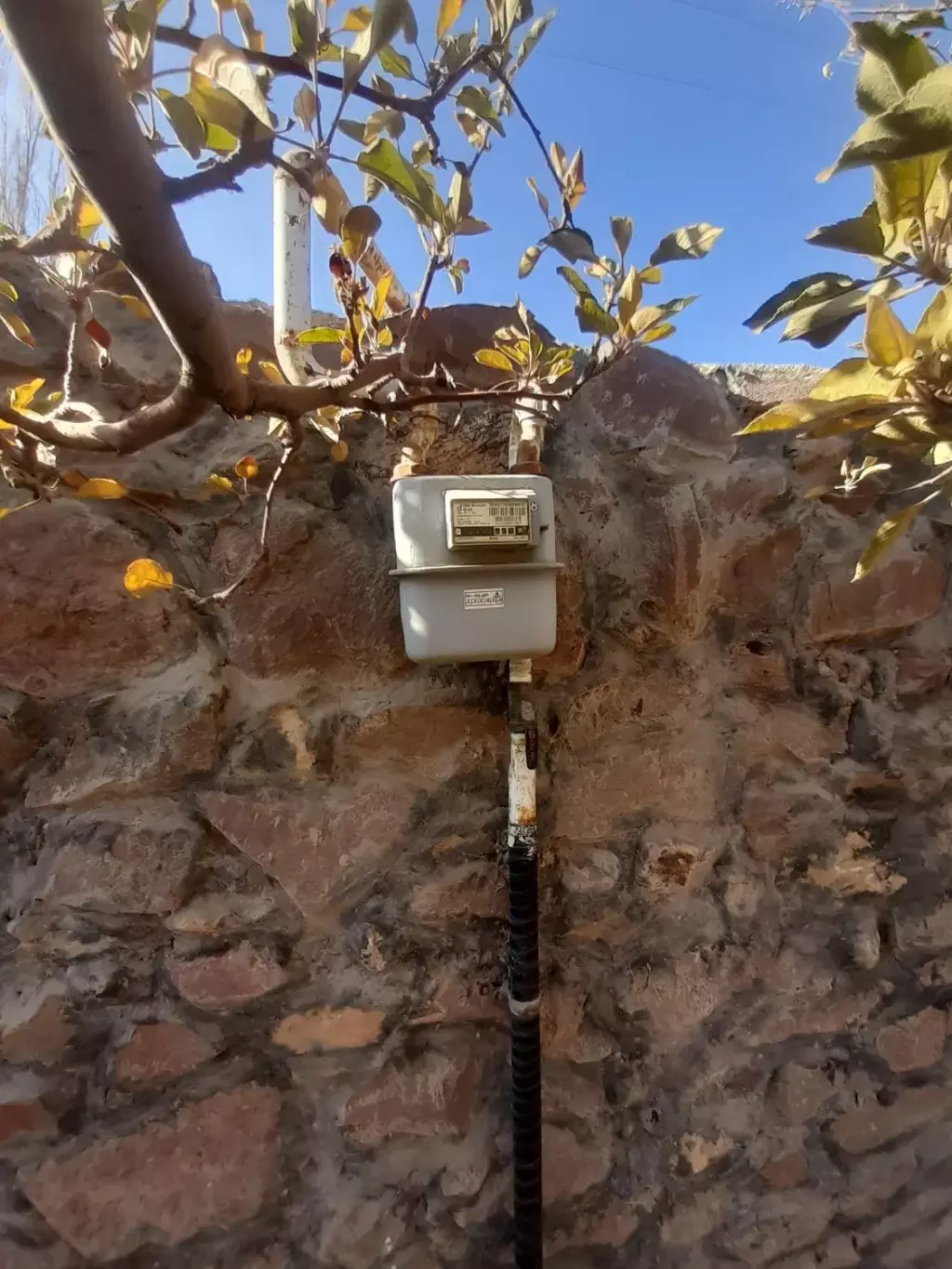 300متر باغ شهرکی درجابان - تصویر 4