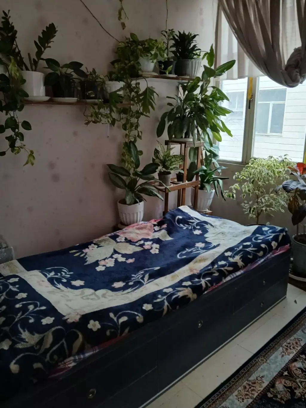 فروشنده واقعی .افسریه جنوبی - تصویر 16
