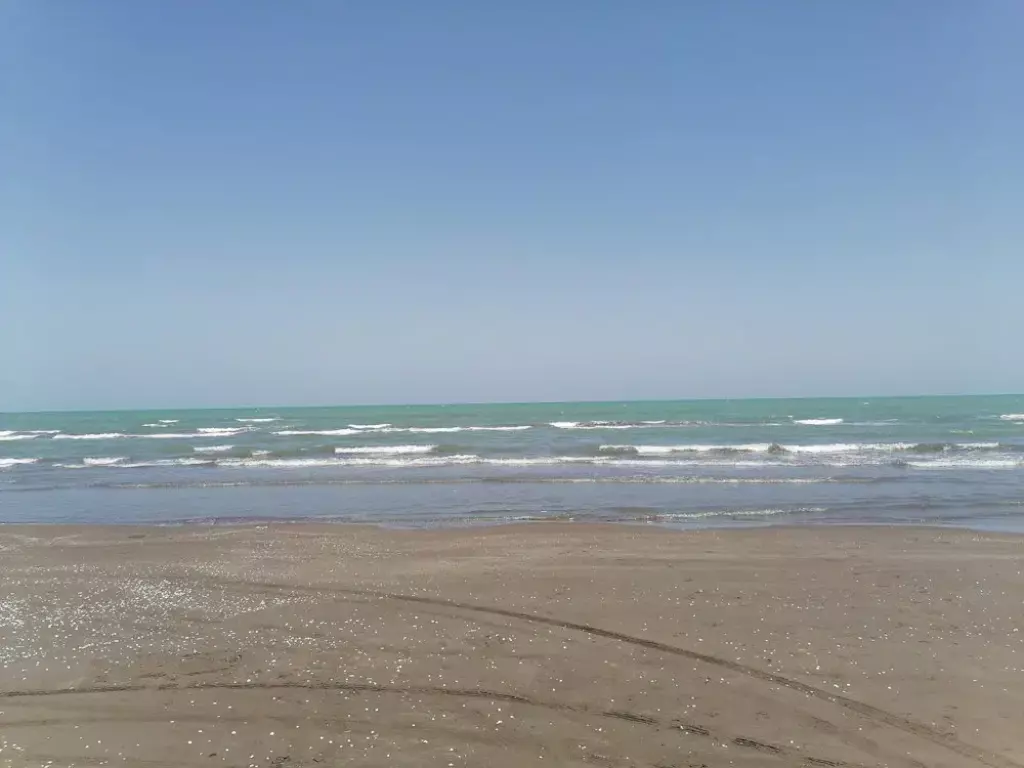 فروش زمین 440 متری در رودسر - تصویر 5