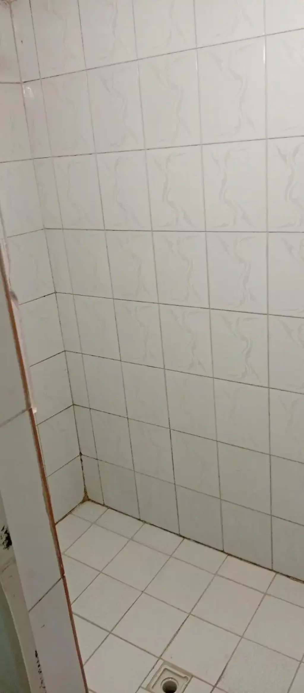 خانه اجاره ای 65 متری شمیران نو - تصویر 9