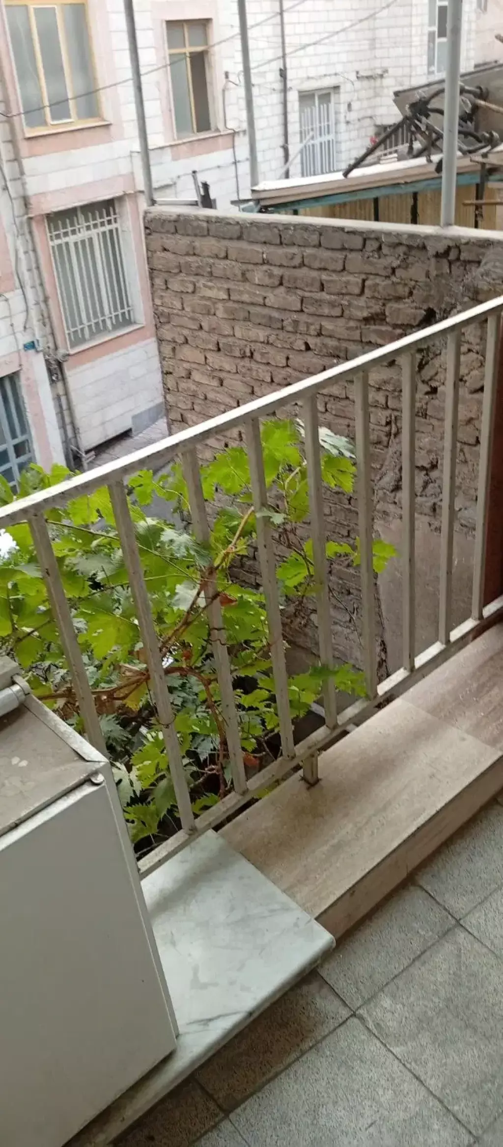 خانه اجاره ای 65 متری شمیران نو - تصویر 5