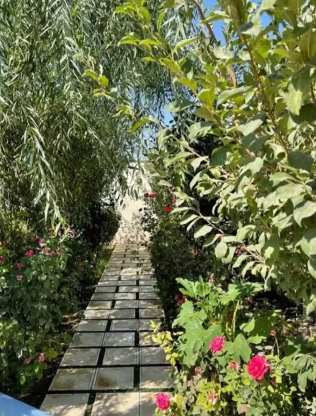 باغ مبله با استخر در شهریار - تصویر 6