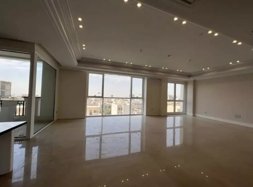 250 متر 3 پارکینگ / منطقه 2 / پونک / کم واحد - تصویر 2