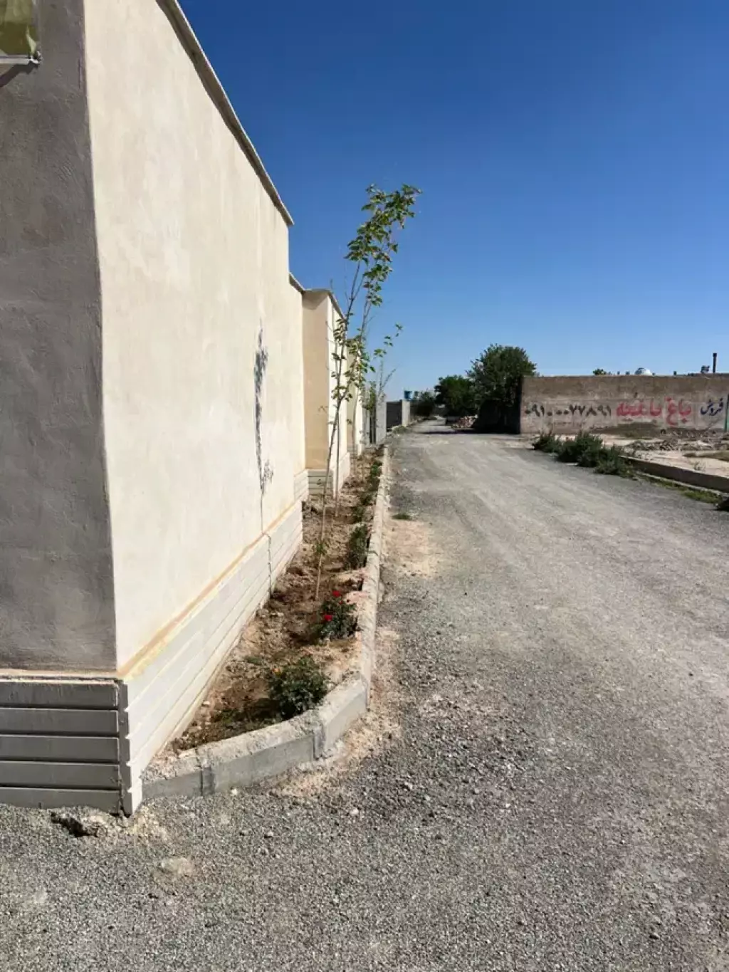 باغچه شهرکی با سند تک برگ مناسب سخت پسندها - تصویر 3