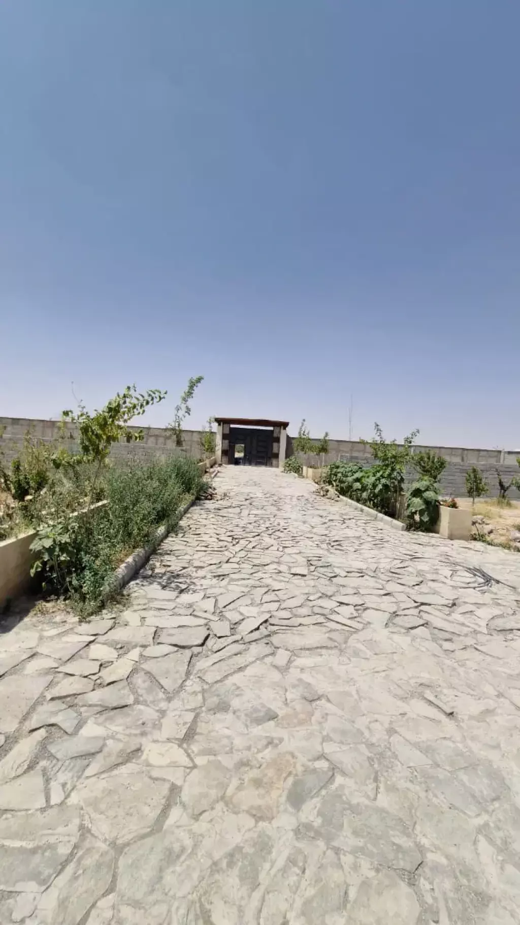 باغچه شهرکی با سند تک برگ مناسب سخت پسندها - تصویر 10