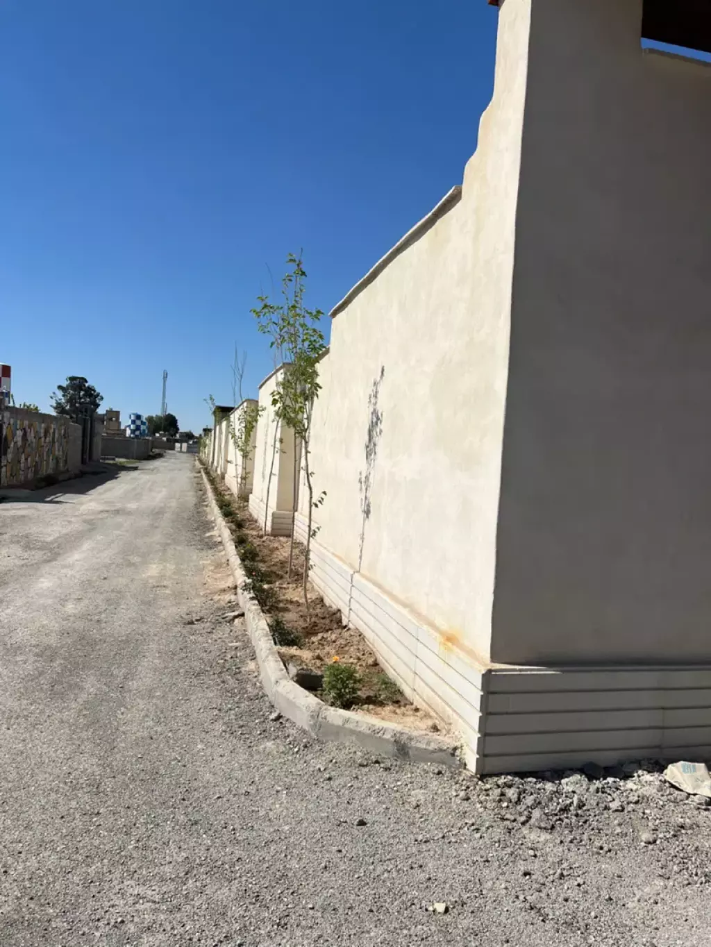 باغچه شهرکی با سند تک برگ مناسب سخت پسندها - تصویر 5