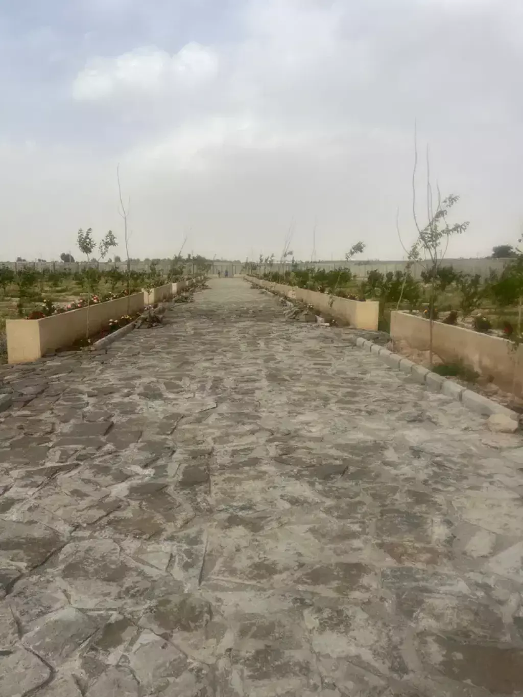 باغچه شهرکی با سند تک برگ مناسب سخت پسندها - تصویر 4