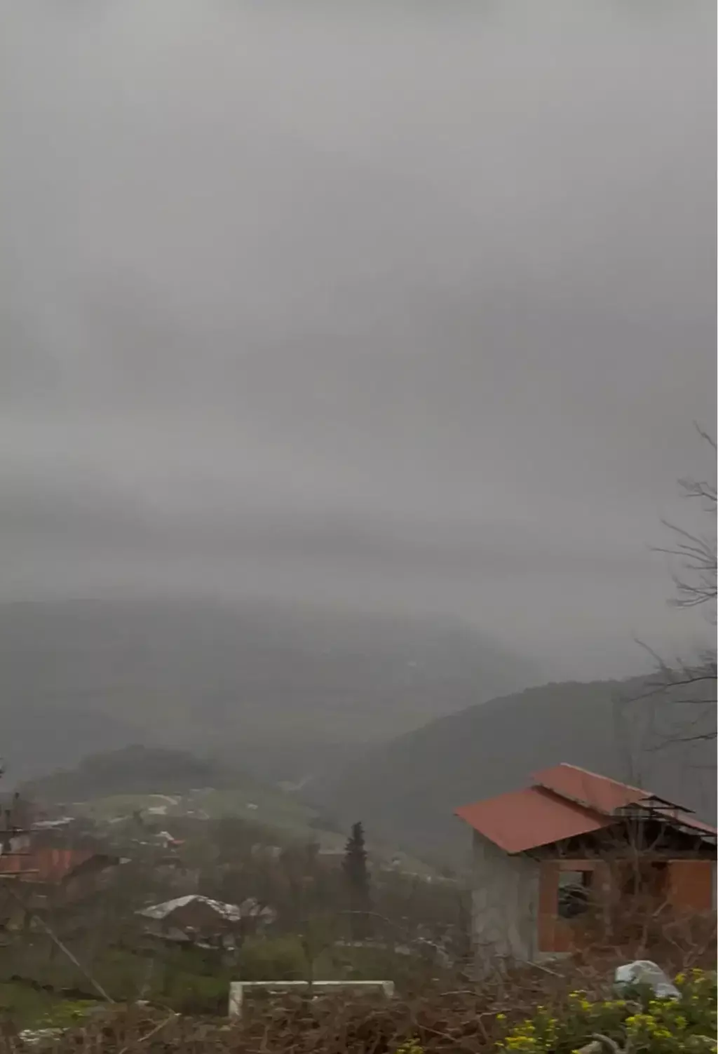 زمین بهمنان ویو ابدی - تصویر 4