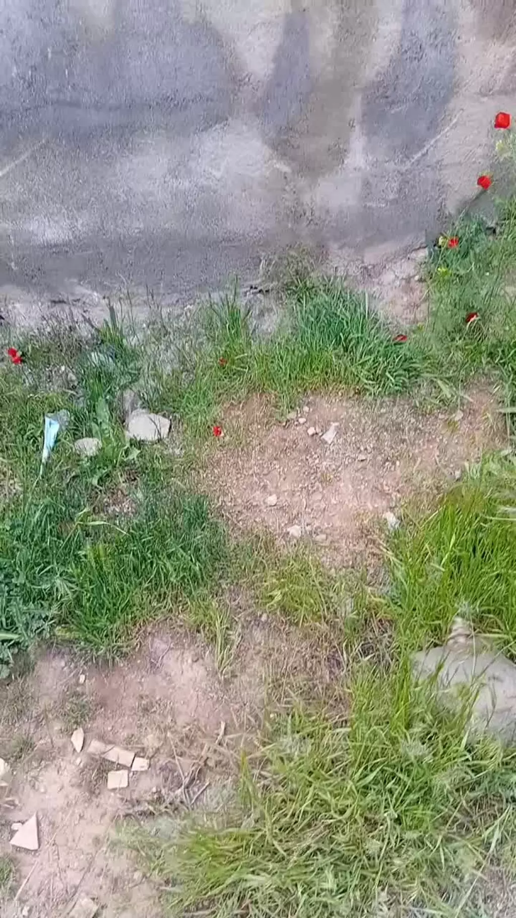 باغ 5000متری اگه دوس داری سرمایه ات حفظ بشه