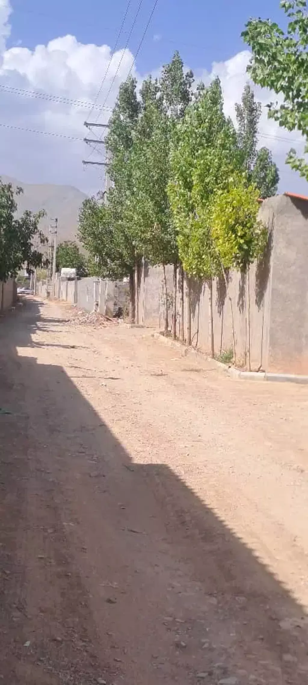 فروش باغ 1600 متری - تصویر 4