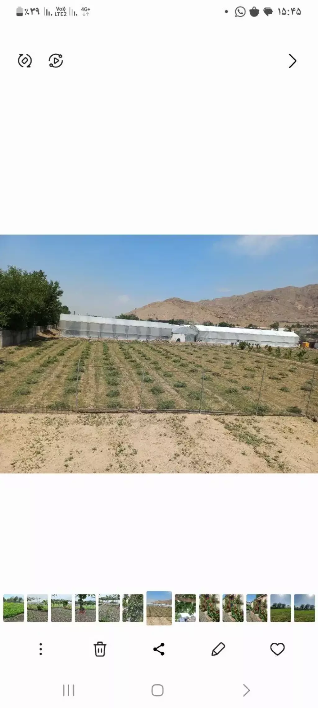 گلخانه در امین اباد