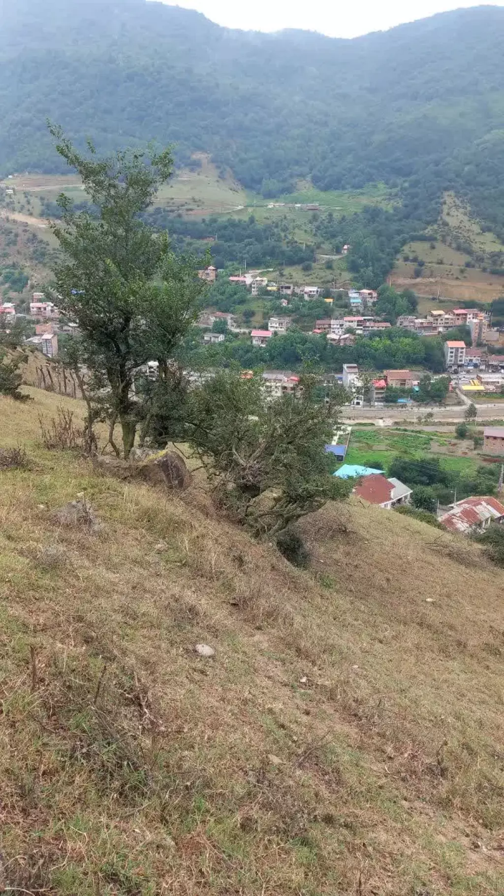 زمین فوق لاکچری پل سفید روستای میارکلا - تصویر 5