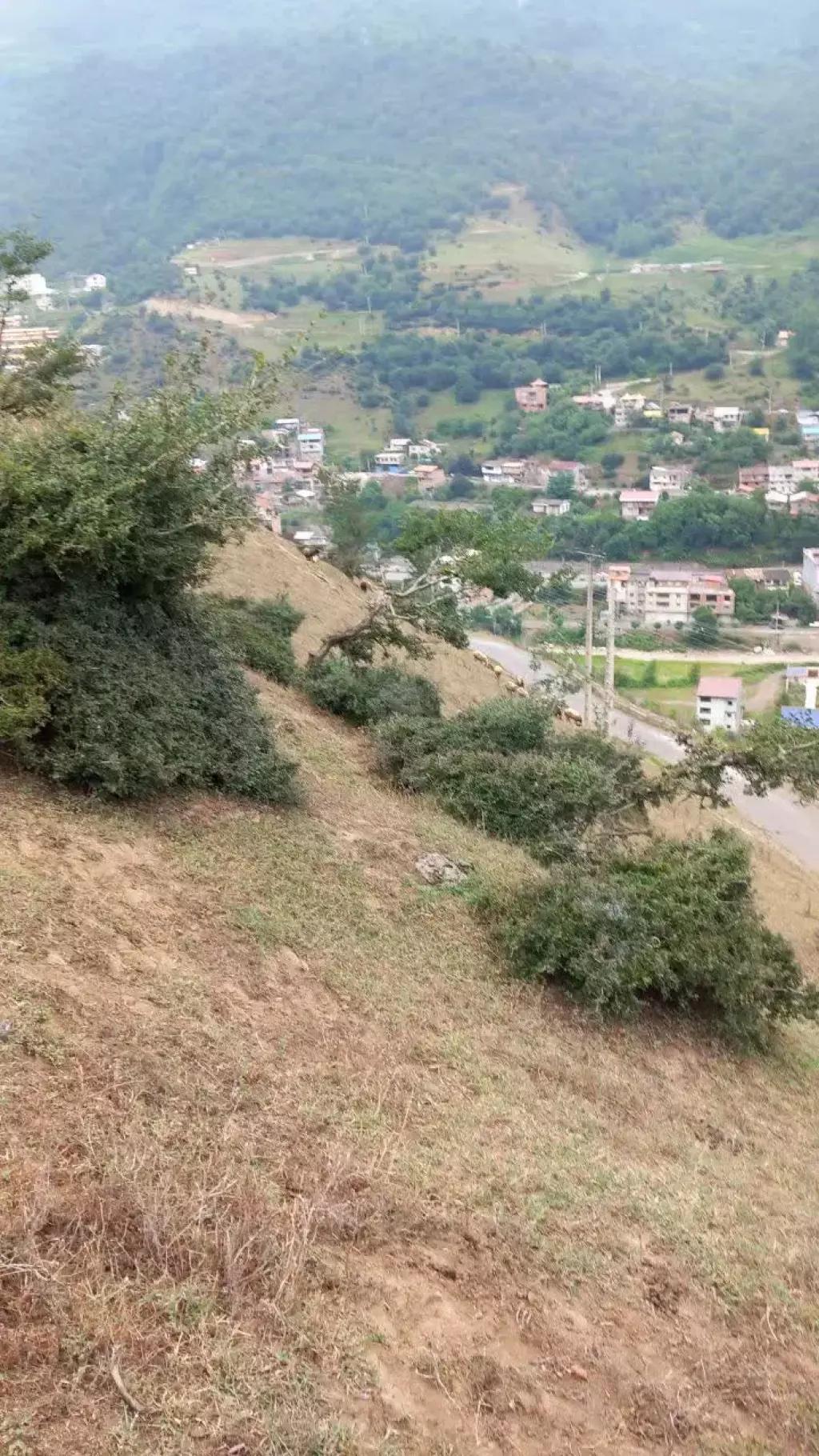 زمین فوق لاکچری پل سفید روستای میارکلا - تصویر 7