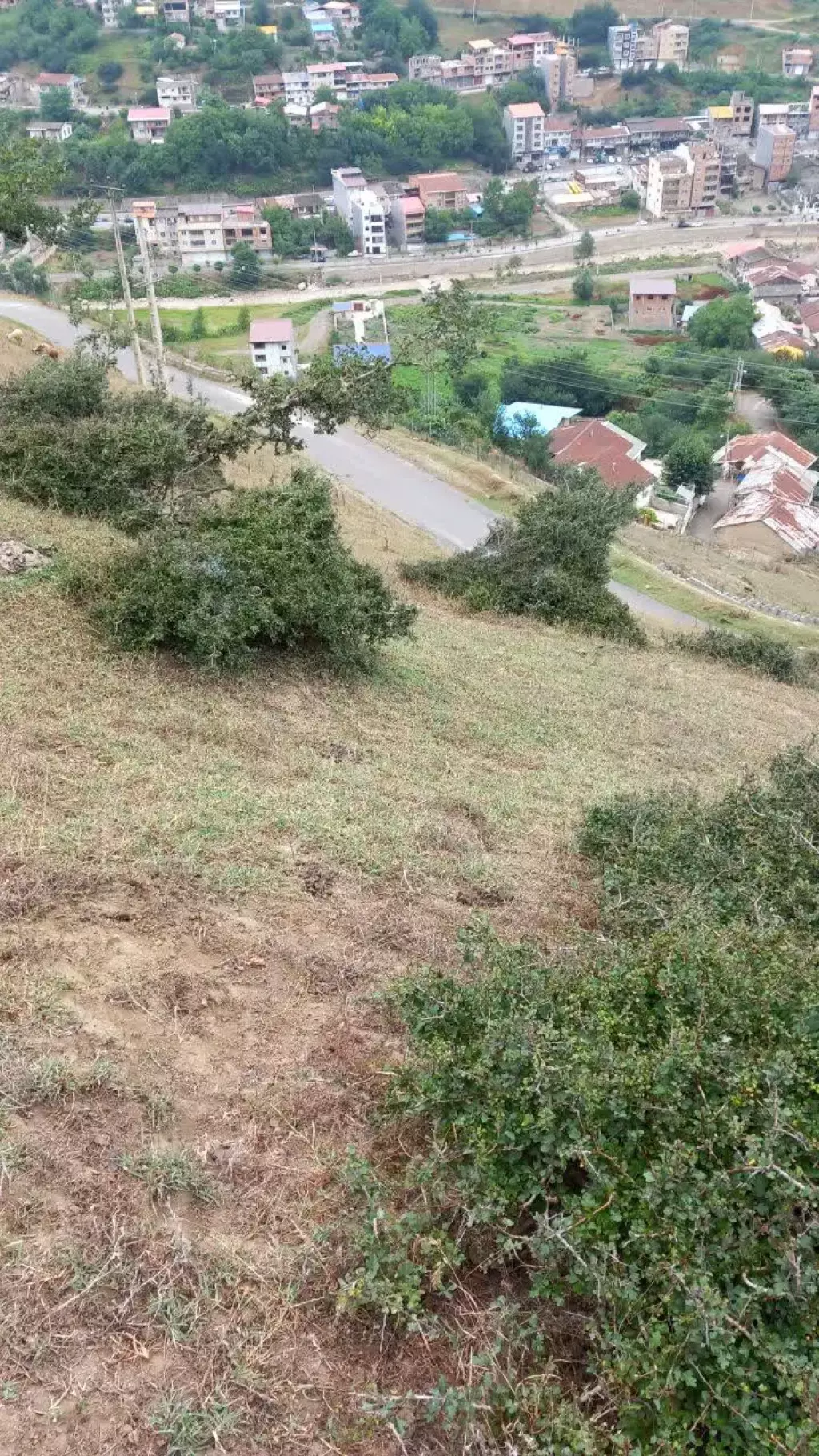 زمین فوق لاکچری پل سفید روستای میارکلا - تصویر 2