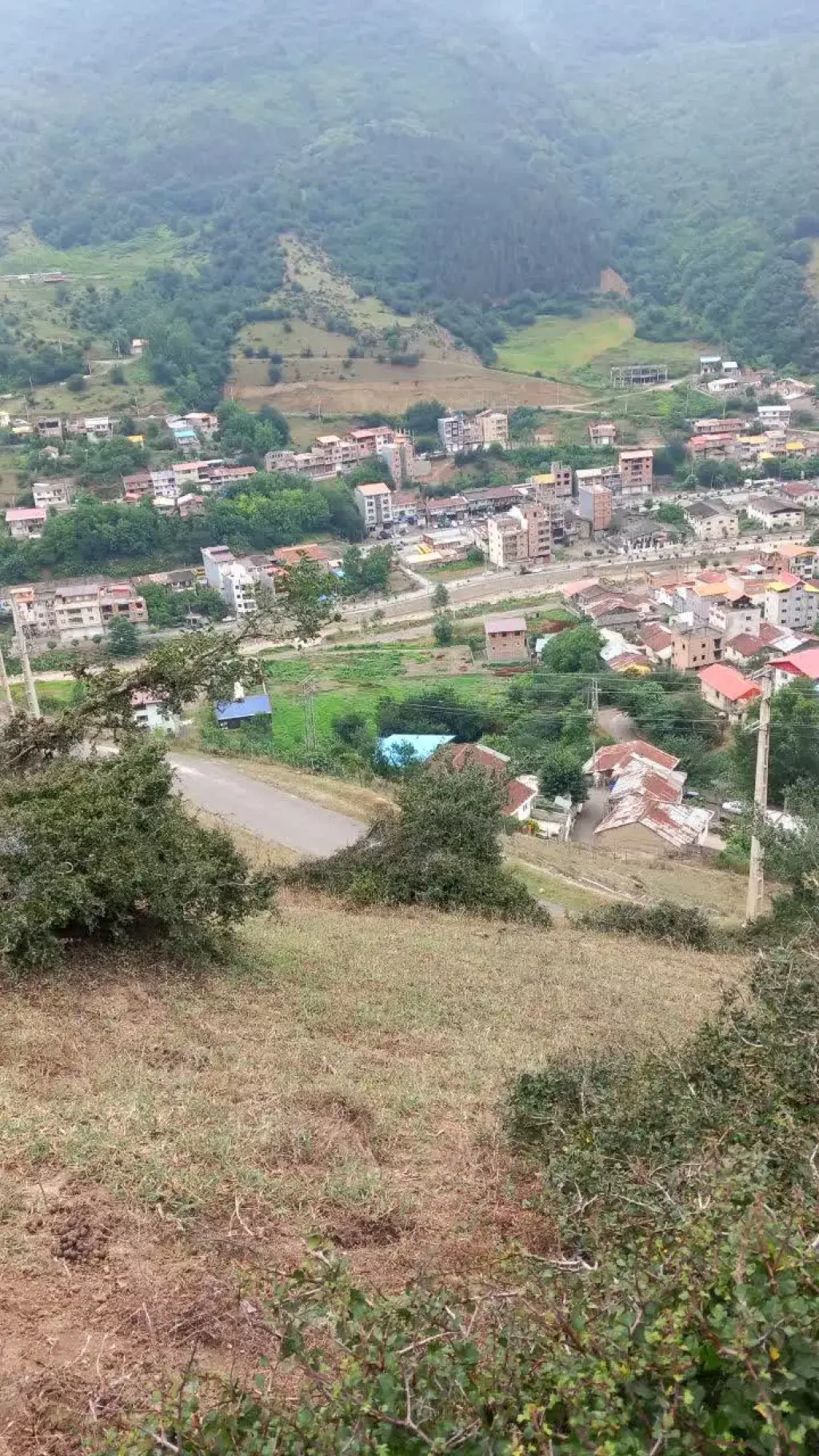 زمین فوق لاکچری پل سفید روستای میارکلا - تصویر 3