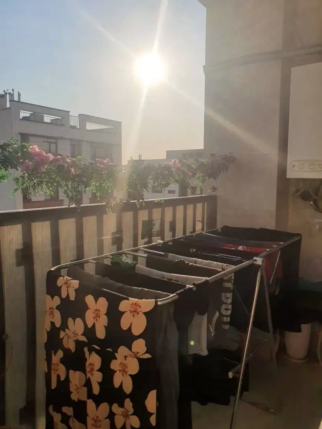 86 متر ، بوستان 5 ، فول - تصویر 5