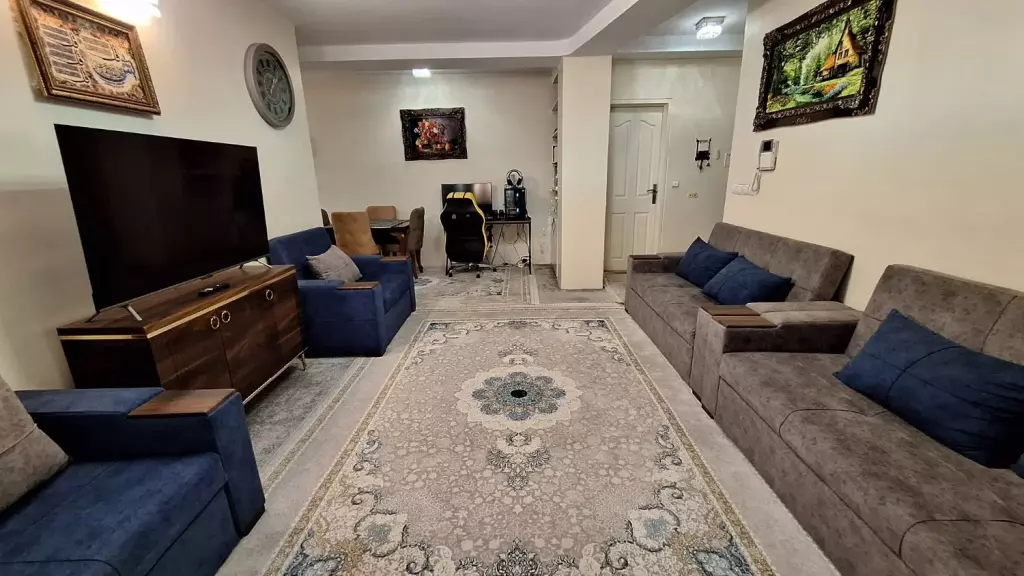 فروش آپارتمان 66 متری تک خواب - تصویر 4