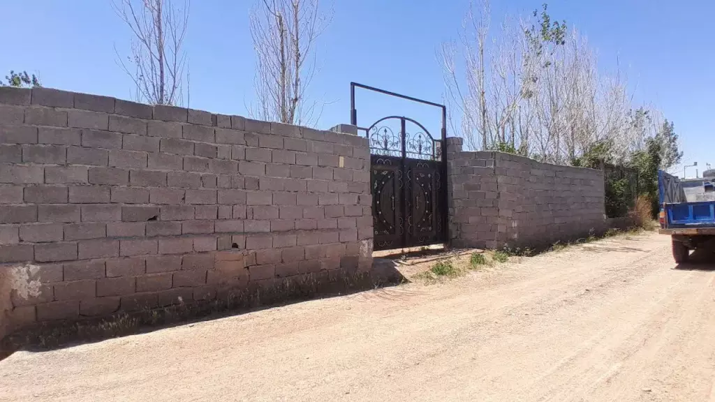 فروش باغ و باغچه - تصویر 12