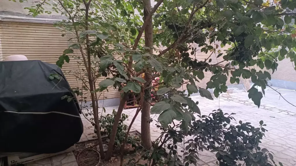فروش آپارتمان 43 متری در مخصوص - تصویر 17
