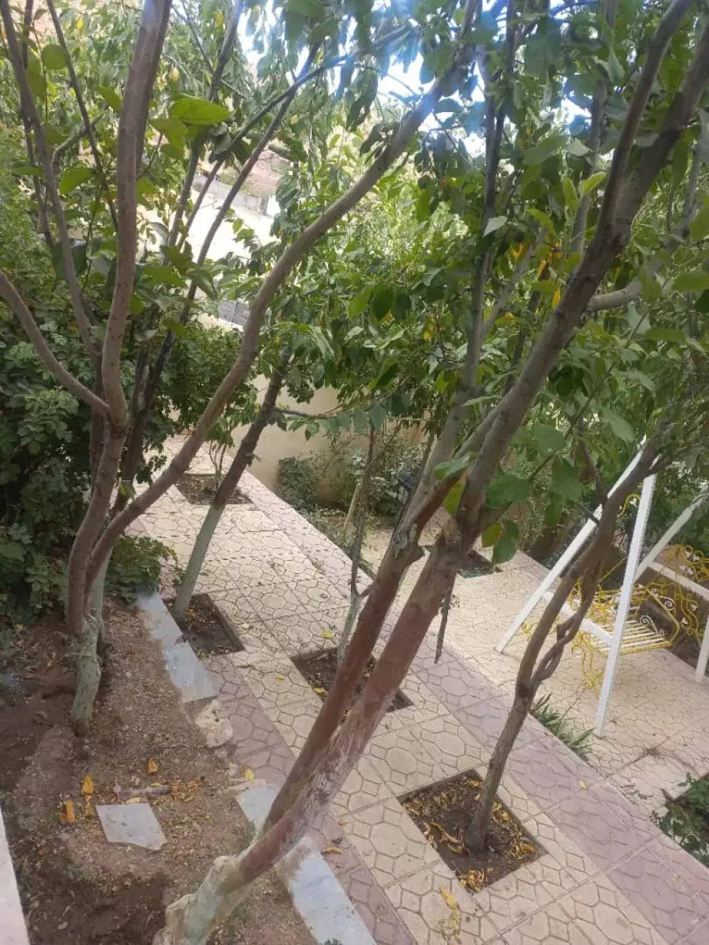فروش زمین و کلنگی 400 متری در دژکام - تصویر 13