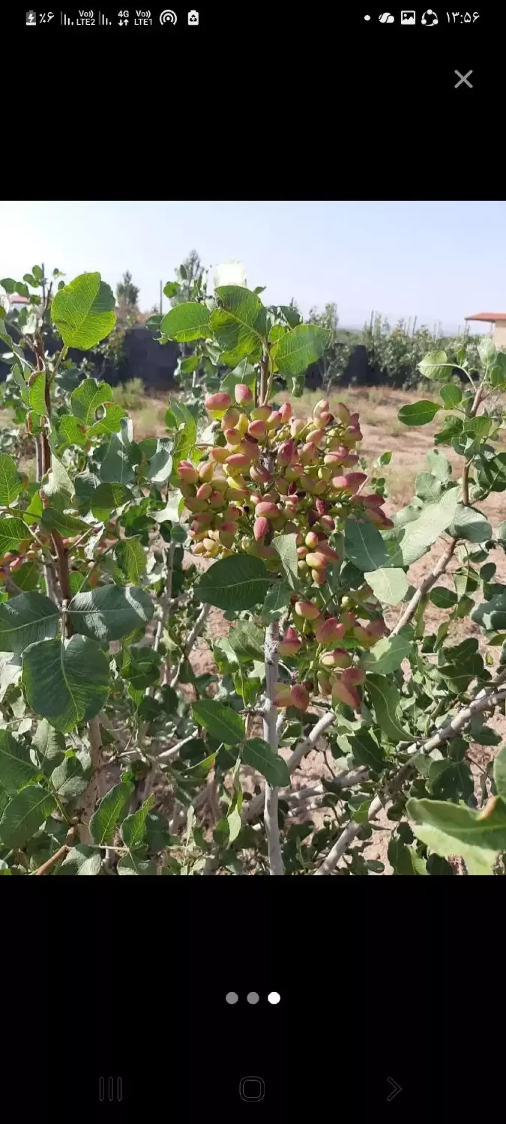 فروش خانه و ویلا 800 متری در تهرانسر شمالی - تصویر 3